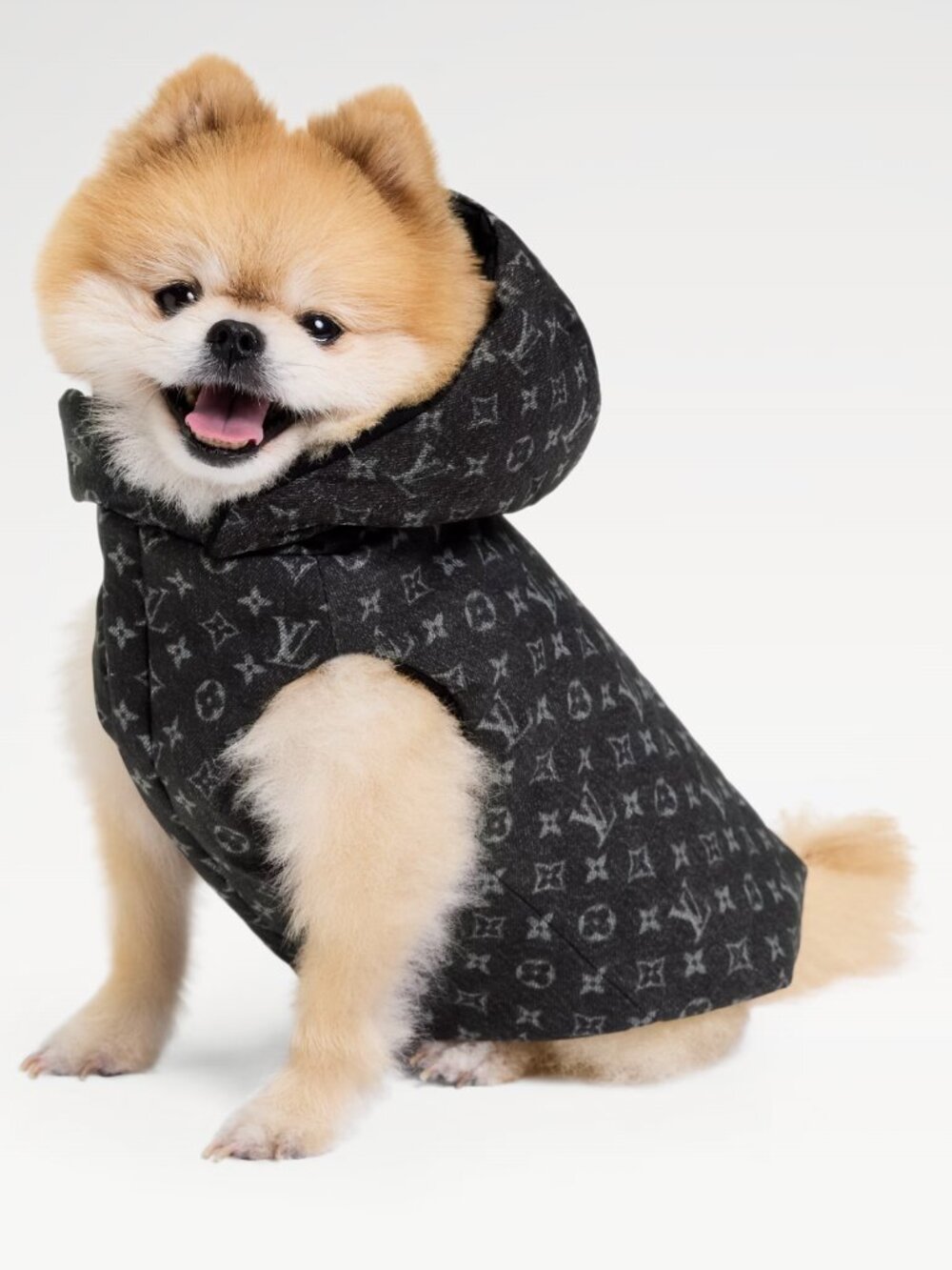 Brand New With Box Louis Vuitton Dog Puffer Jacket XS